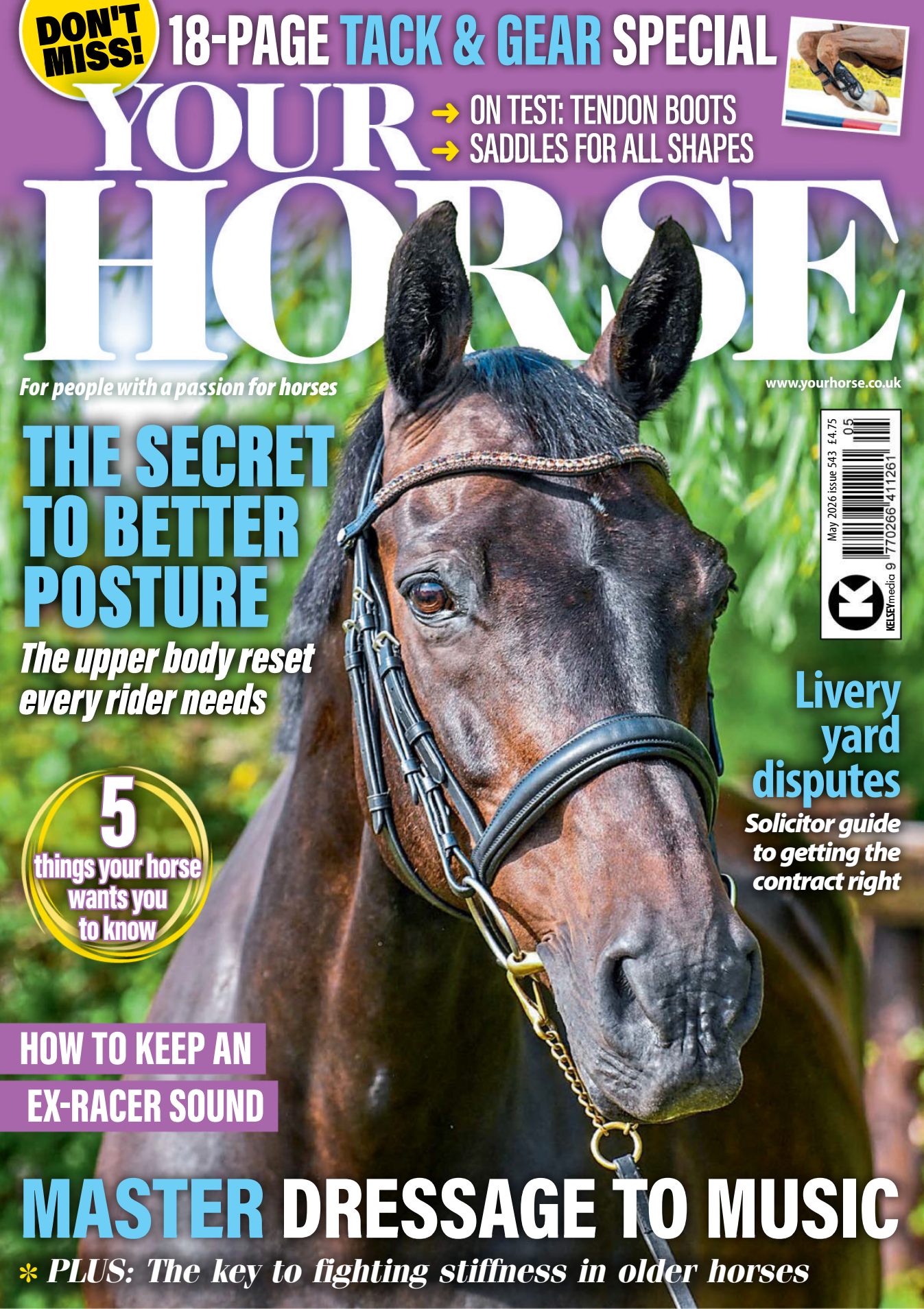 图片[1]-Your Horse - May 2026